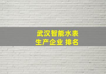 武汉智能水表生产企业 排名